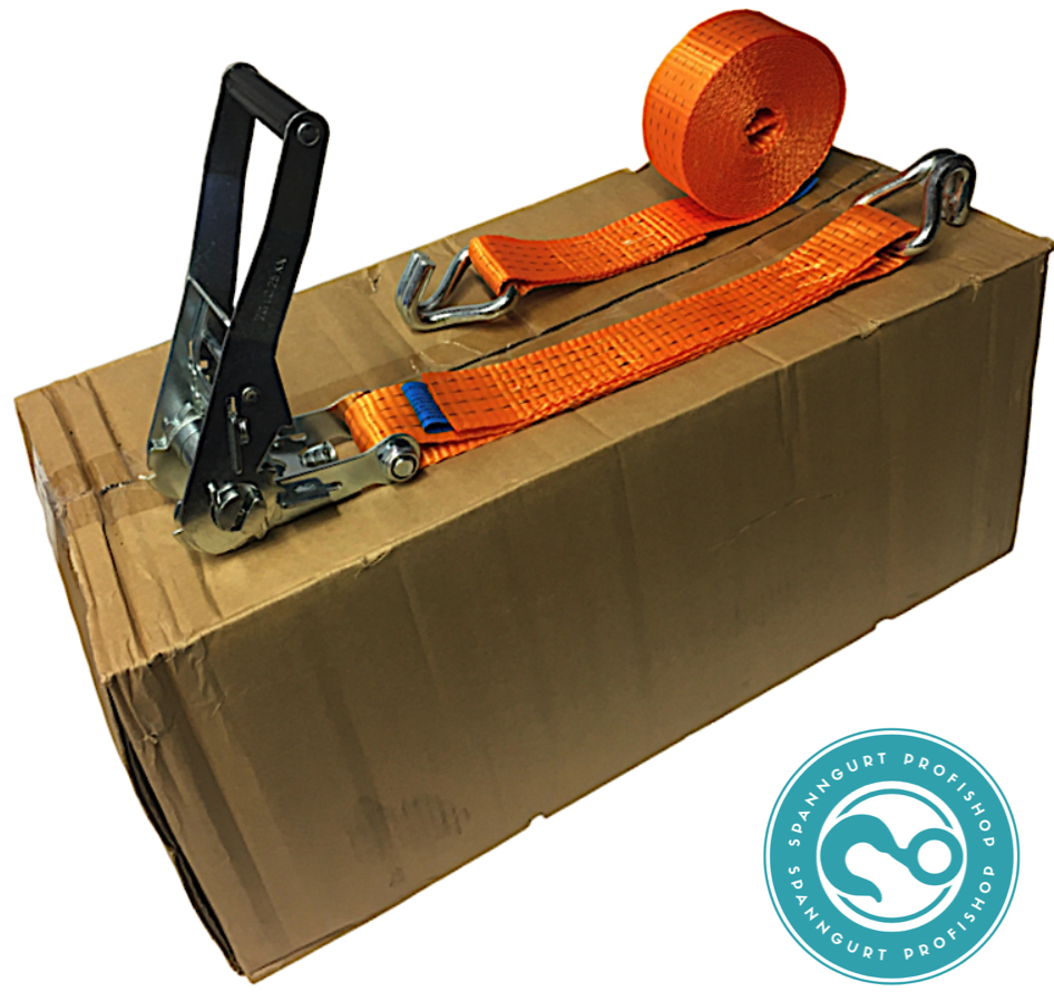 4to Spanngurt 6m Spitzhaken Sonderposten 10er-Pack